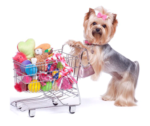 Pet-Supplies
