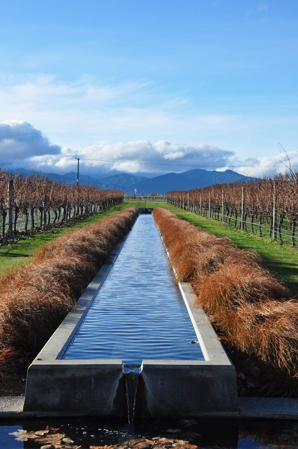 Winery-Marlborough-New-Zealand