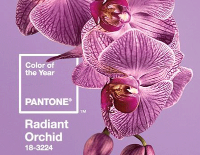 Pantone_color_Radiant_Orchid-handbag