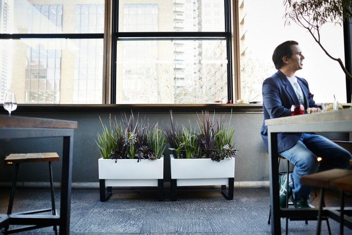 office-planter-boxes-1