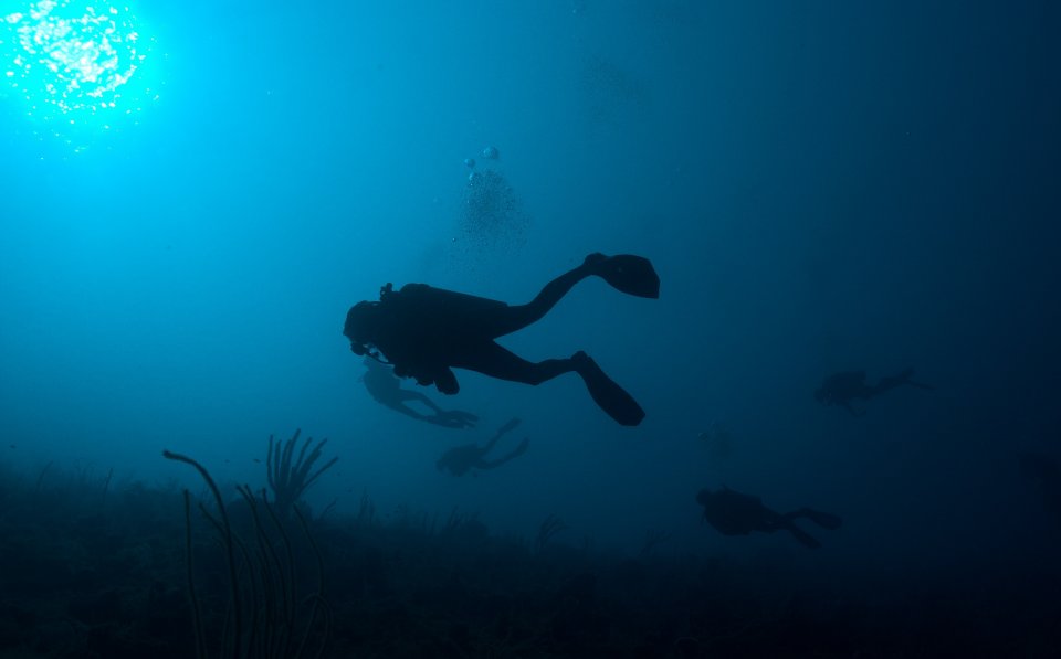 deep-diving