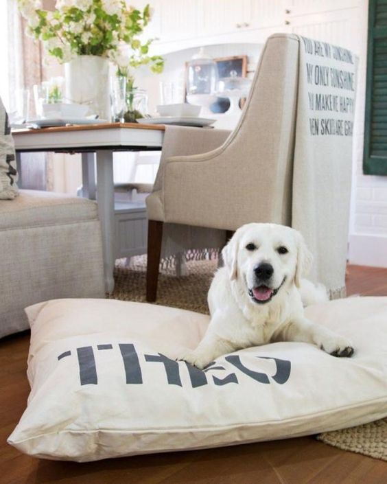 white dog laying on a dog bed