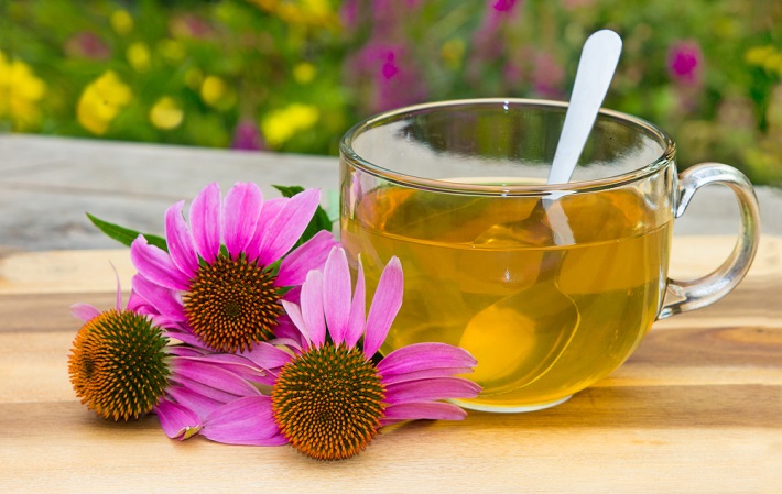picture of a cup of tea beside a flowers Echinacea on a table in nature
