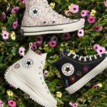 converse shoe