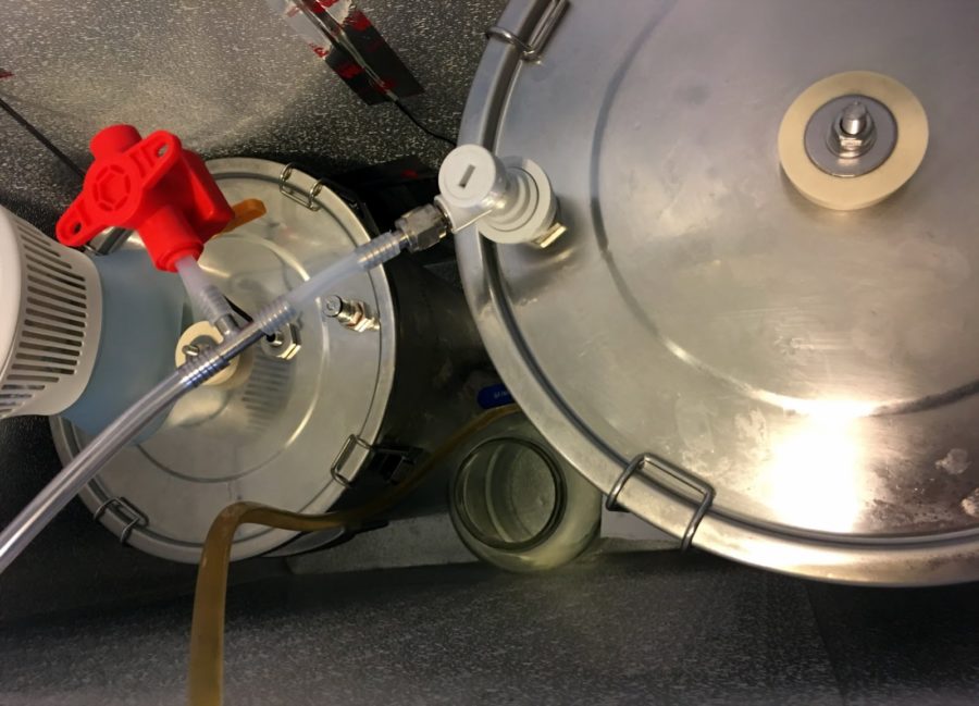 Chapman Fermenter - Closed Transfer To Keg