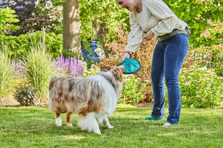 Our Top Suggestions on How to Provide Play and Exercise for Your Pup