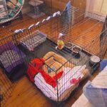 VEBO Collapsible Metal Wire Pet Dog Crate