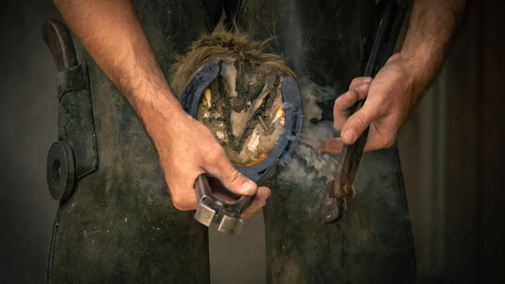 caring-for-horseshoe-nails