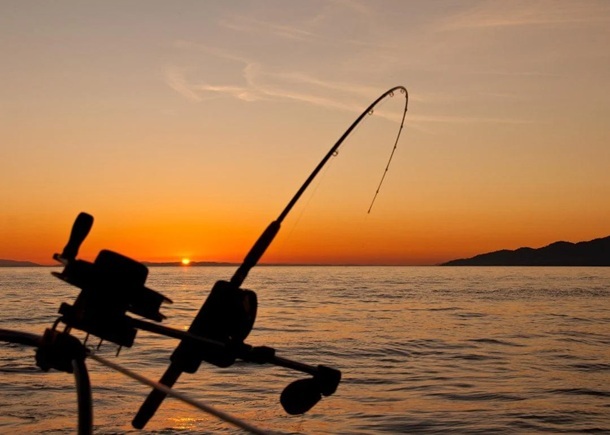 fishing rod reel